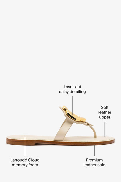 Margherita Thong Sandal in Ivory Leather and Gold Hardware