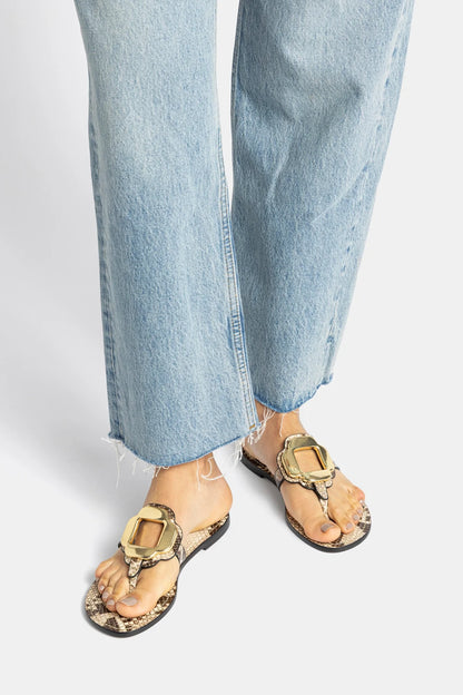 Margherita Thong Sandal in Neutral Snake Leather and Gold Hardware