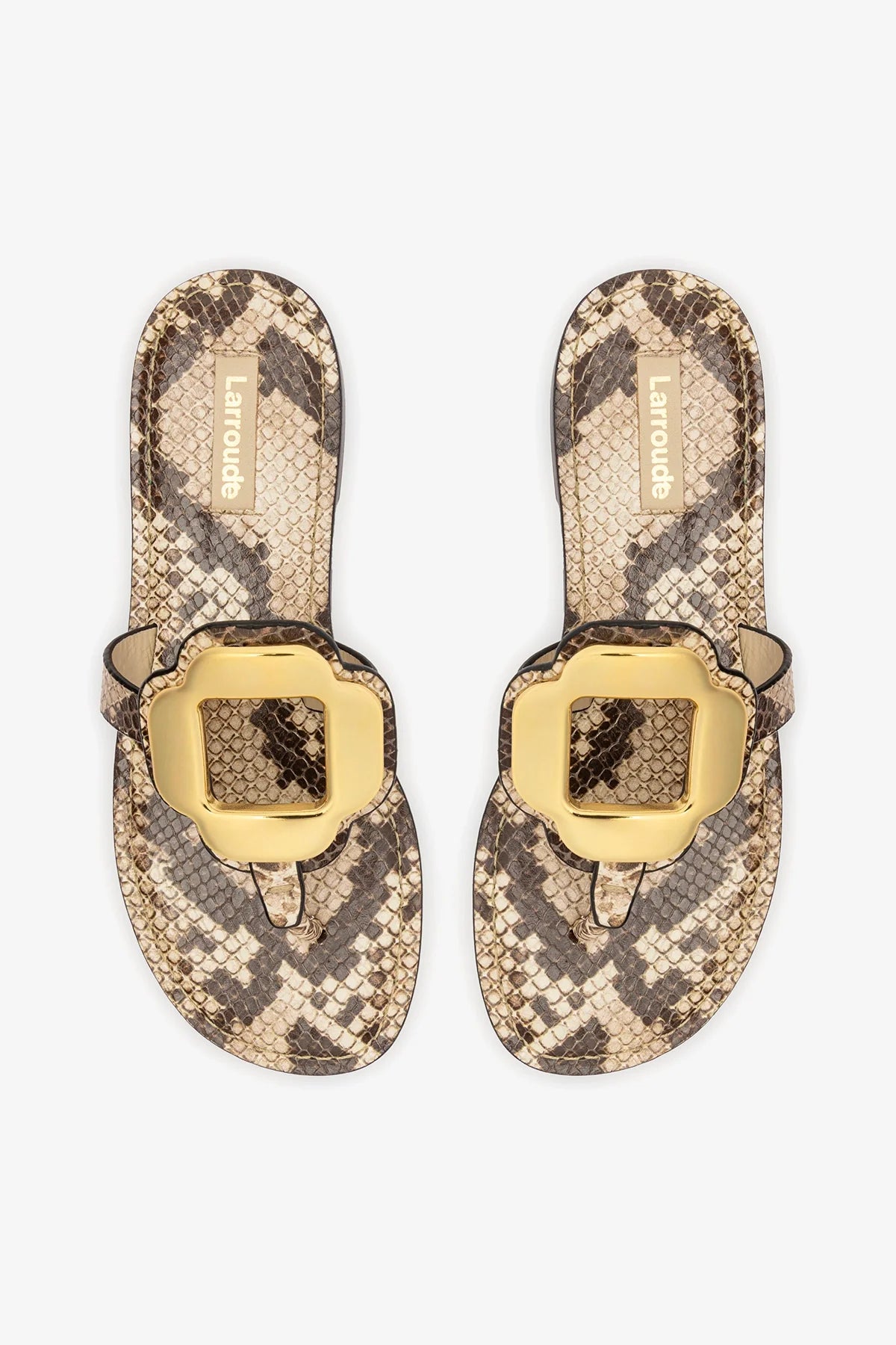 Margherita Thong Sandal in Neutral Snake Leather and Gold Hardware