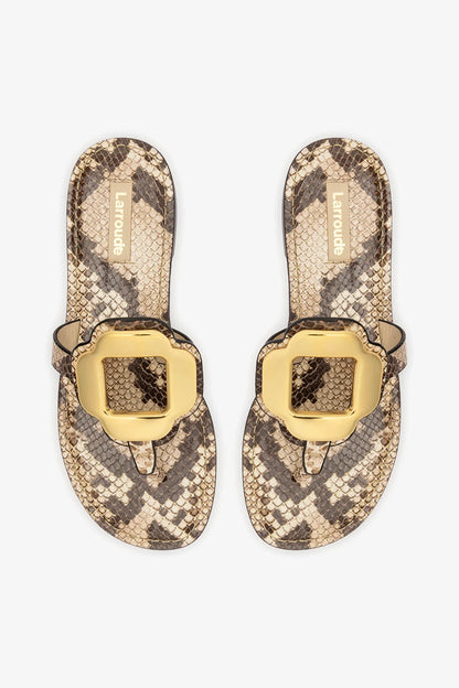 Margherita Thong Sandal in Neutral Snake Leather and Gold Hardware